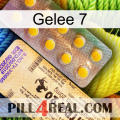 Jelly 7 new06
